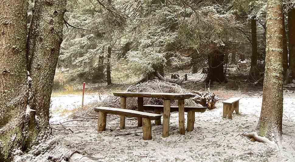 snijeg kopaonik.jpg